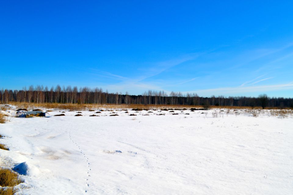 Коптевская нива горецкий район