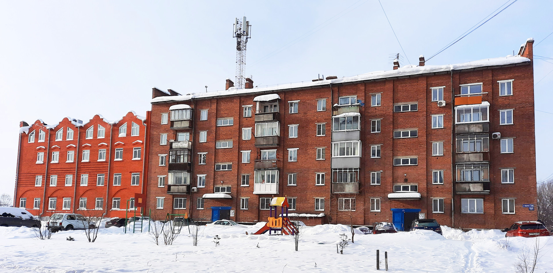 Кабарга в кемеровской области фото